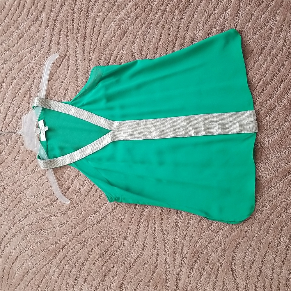 Rodriguez kelly green silver beaded chiffon top size 2